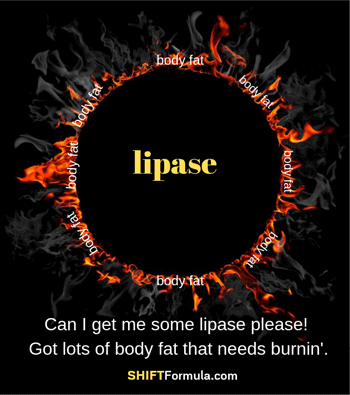 Lipase - How To Suppress Hunger And Lose Weight