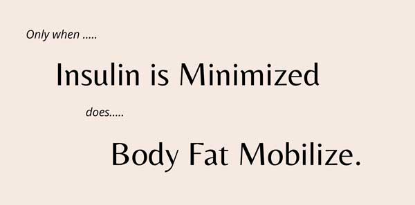 When Insulin Is Minimized Body Fat Is Mobilized | Barbara McDermott - SHIFT Formula